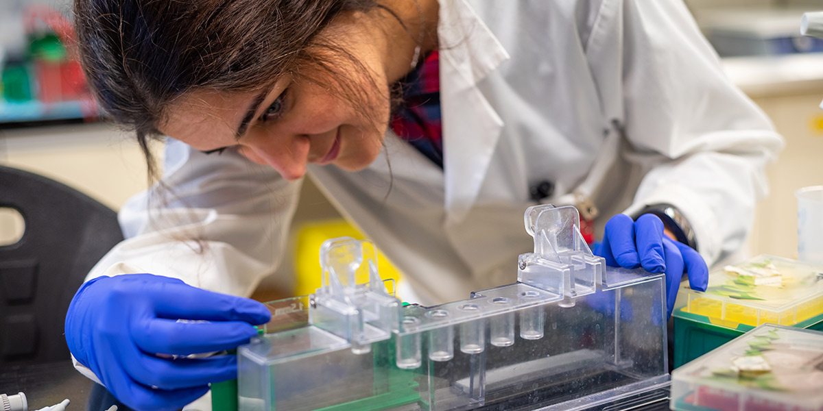 Chemistry student working with sample in lab.