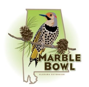outline of the state of Alabama with a drawn picture of the Yellowhammer bird sitting on a branch