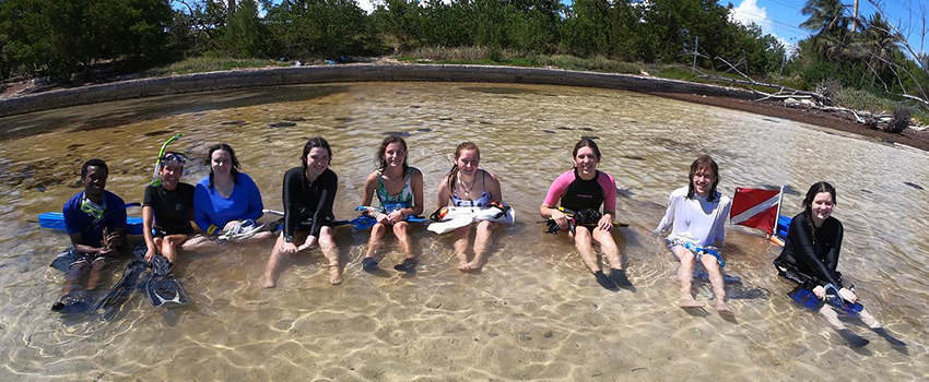 Marine Sciences students sitting in the water during class.