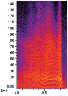 full frequency range of the sound