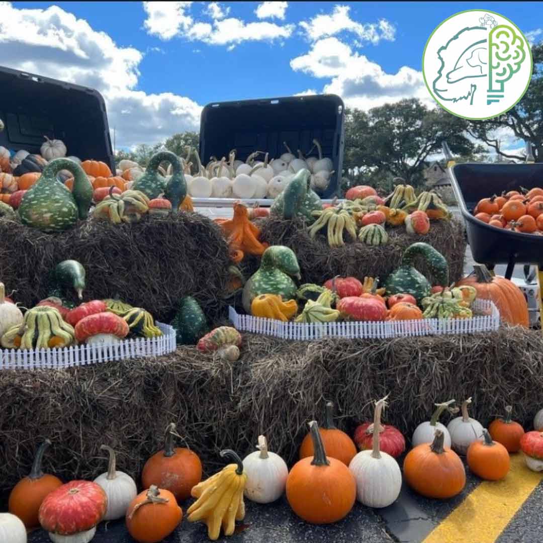 Pumpkins on hay bales.