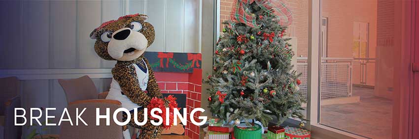 Ms Pawla in front of Christmas fireplace