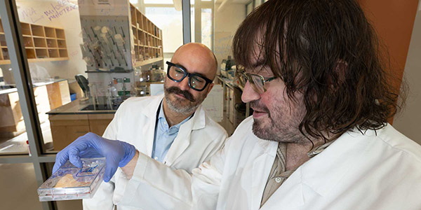 Dr. Simon Grelet, left, assistant professor of biochemistry and molecular biology in the Frederick P. Whiddon College of Medicine, works with lab technician Gregory Hoover in Grelet's lab at the USA Health Mitchell Cancer Institute.