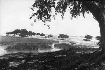 The Dauphin Island Shell Mound